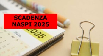 Urgenza Naspi, occhio alla scadenza del 31 gennaio: rischi lo stop dei pagamenti